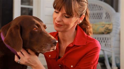 Dog Training With Positive Reinforcement | Teacher's Pet With Victoria Stilwell - YouTube