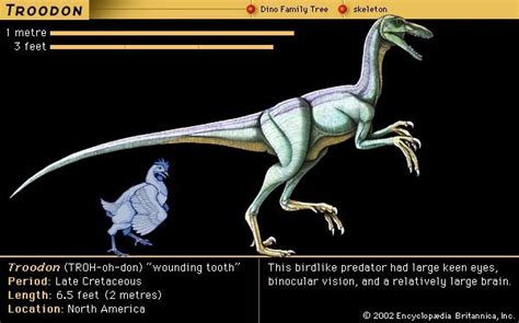 Troodon - Students | Britannica Kids | Homework Help