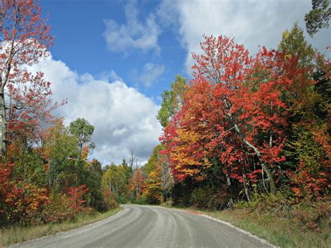 Free Images : landscape, tree, nature, sky, road, leaf, fall, flower, country, foliage, autumn ...