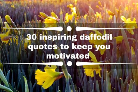 30 inspiring daffodil quotes to keep you motivated and going forward ...