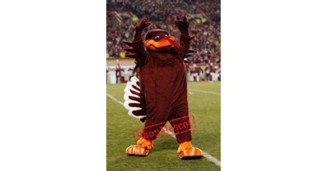 Hokie Bird Mascot Costume