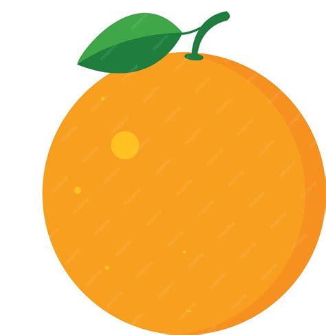 Premium Vector | Orange vector logo, vector oranges