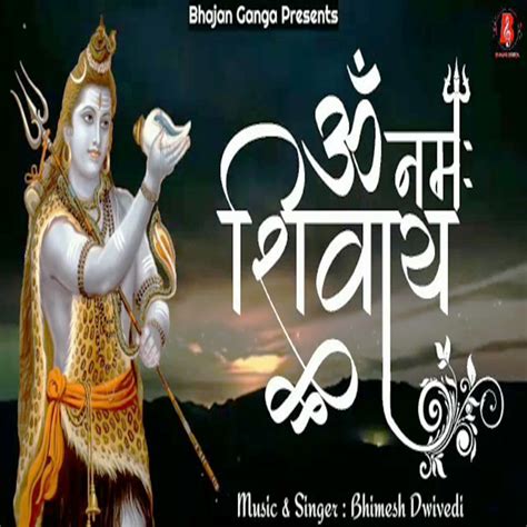 ‎Om Namah Shivay Dhun - EP by Bhimesh Dwivedi on Apple Music