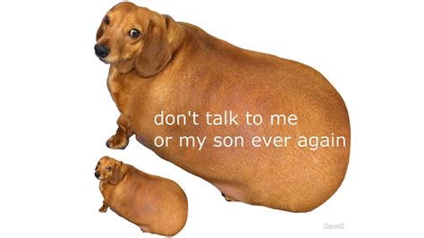 Don't Talk To Me Or My Son Ever Again | Know Your Meme