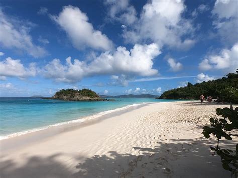 Trunk Bay (Virgin Islands National Park) - All You Need to Know BEFORE ...