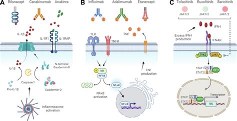 Biologics and JAK inhibitors for the treatment of monogenic systemic ...