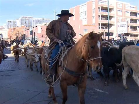 Stock Show Parade In Denver: Watch Live | Denver, CO Patch