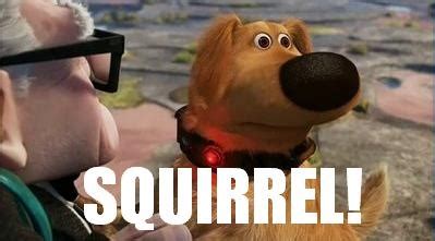 Squirrel Up Movie Quotes. QuotesGram