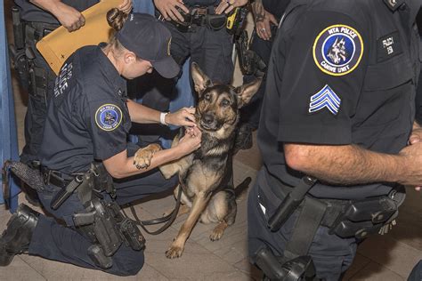 MTAPD Canine Unit at Grand Central July 2019 | The MTA Polic… | Flickr