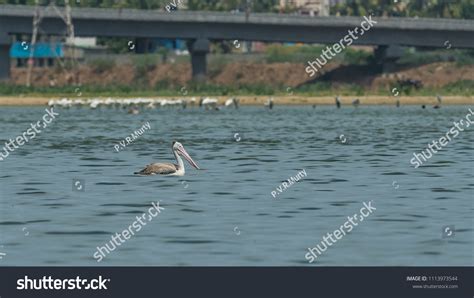 12 Korattur Lake Images, Stock Photos & Vectors | Shutterstock