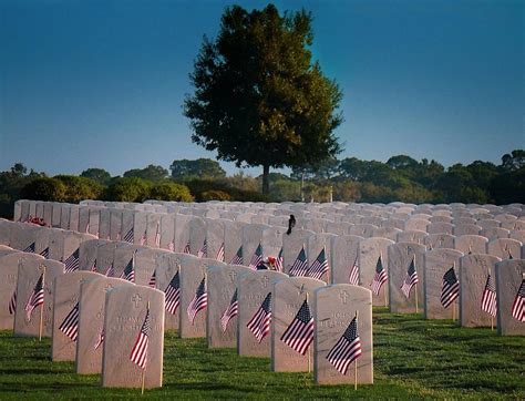 Florida National Cemetery At Sunrise, No. 2 Photograph by Cheryl Kurman | Fine Art America