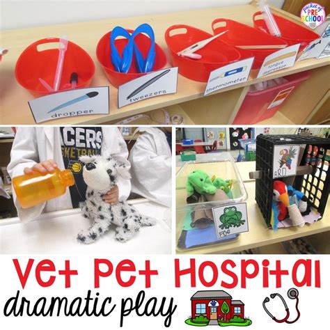 Vet Animal Hospital Dramatic Play - Pocket of Preschool