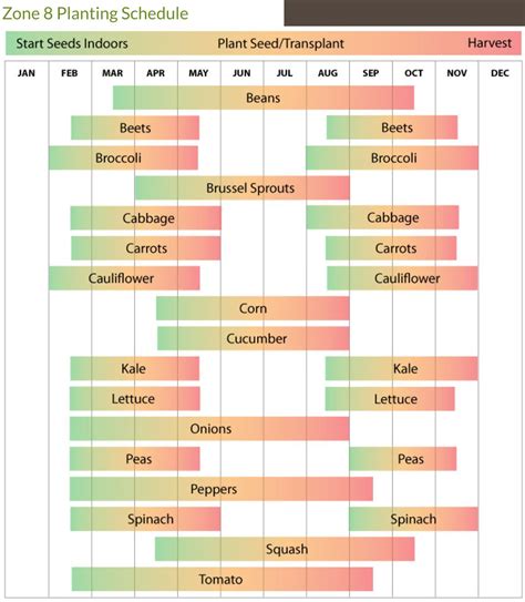 Zone 8 schedule | Garden plants vegetable, Fall garden vegetables ...