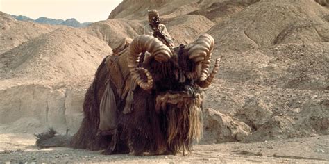 Bantha | StarWars.com