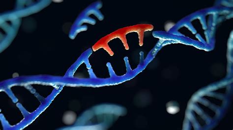 Got mutation? ‘Base editors’ fix genomes one nucleotide at a time