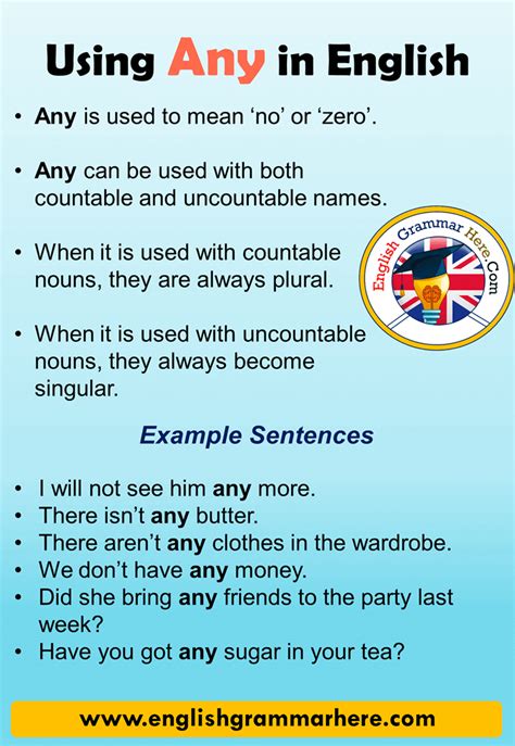 Using Any and Example Sentences in English Any is used to mean ‘no’ or ...