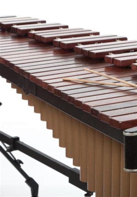 Xylophone And Marimba Soundboard