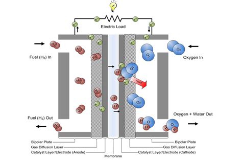 Hydrogen Fuel Cell Diagram