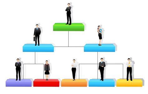 Common Organizational Structures Seen in Small Businesses