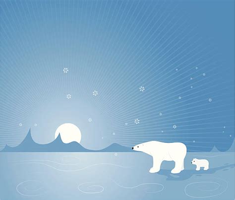 Tundra Clip Art, Vector Images & Illustrations - iStock