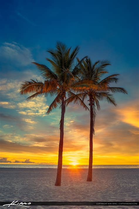 Two Coconut Palm Tree Sunrise at Beach