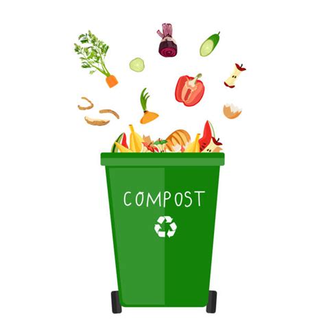 680+ Compost Bin Stock Illustrations, Royalty-Free Vector Graphics ...