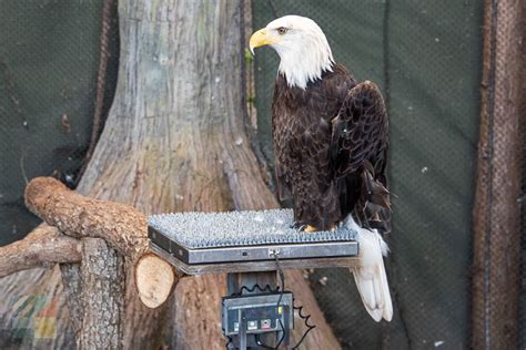 NC Aquarium at Fort Fisher - Wilmington-NC.com