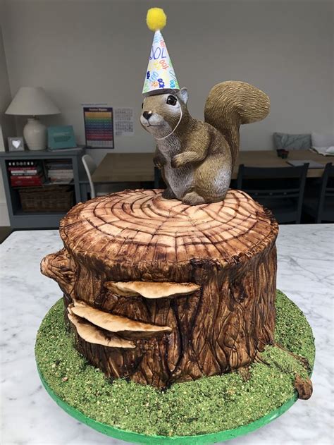 Pin by Elizabeth Baumgart on Cakes | Squirrel cake, 90th birthday cakes, Creative birthday cakes