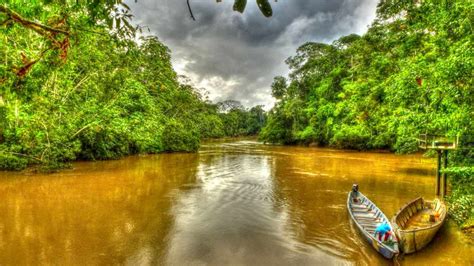 Yasuni National Park – A Complete Guide for Visitors to Yasuni Ecuador – Happy Gringo Travel