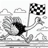 Ostrich Running Wild Coloring Page  Coloring For Kids – Smart sketch template