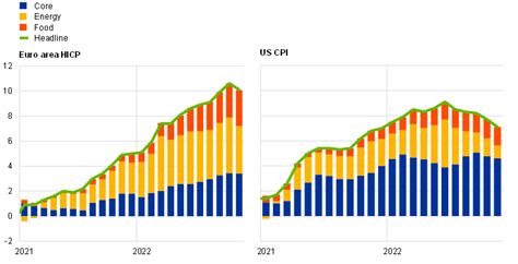 Inflation developments in the euro area and the United States