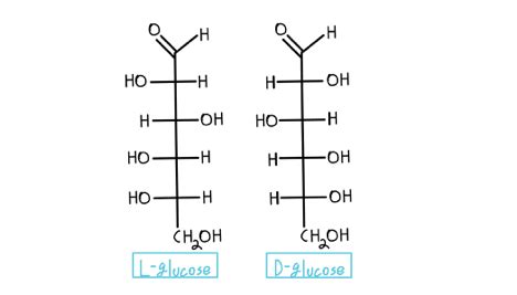 draw the fischer projection for l-glucose - midnightinparisvancleef