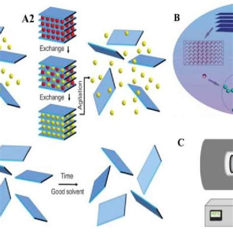 (PDF) From phosphorus to phosphorene: Applications in disease theranostics