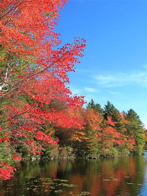 Fall in LOVE with Maine Scenic Road Trip in Peak Foliage Season ...