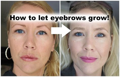 Beauty4Free2U: How to let your eyebrows grow back! Sparse Eyebrows, Tweezing Eyebrows, Thin ...