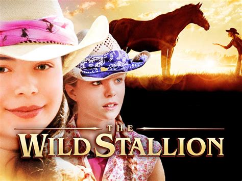 The Wild Stallion (2009) - Rotten Tomatoes