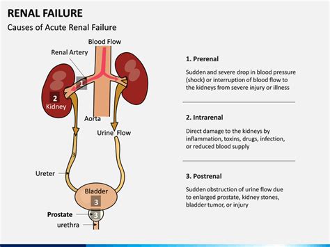 Acute Kidney Failure Treatment | Best Nephrologist in Hyderabad