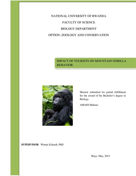 (PDF) Impact of tourists on mountain gorilla behavior