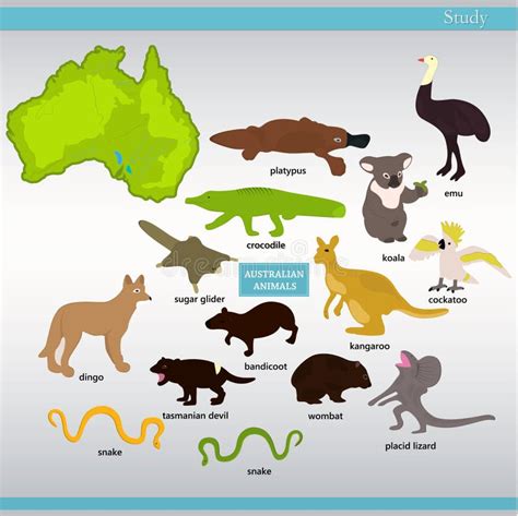 All Australian Animals Names