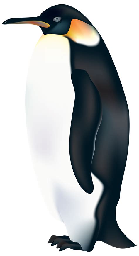 Penguin ClipArt