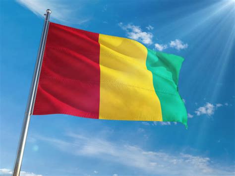 Guinean Flag Photos Stock Photos, Pictures & Royalty-Free Images - iStock