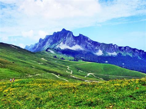 Alpine Pastures and Meadows on the Slopes of Appenzell Alps Mountain ...