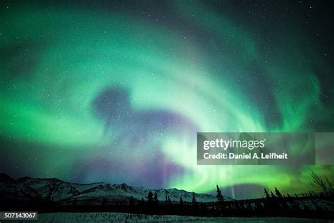 Denali National Park Northern Lights Photos and Premium High Res Pictures - Getty Images