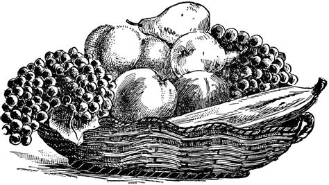 Free Vectors | Fruit basket - Clip Art Library