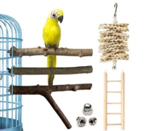 Best Natural Wood Bird Perches - Best Products 2021.