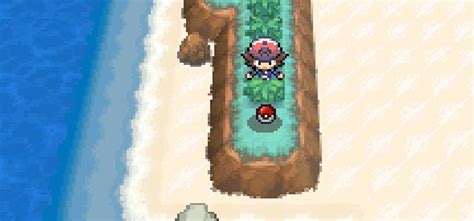 Where To Get HM05 Waterfall in Pokémon Black & White - Guide Strats