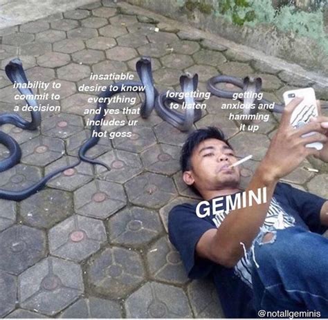 15 Gemini Season Memes to Wish Your Favorite Air Sign a Happy Birthday