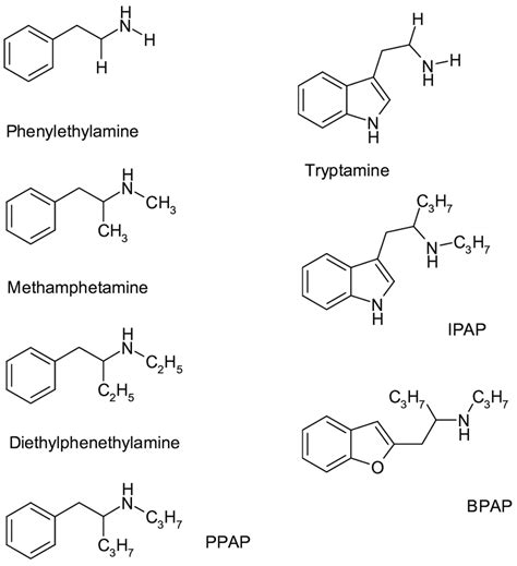 The chemical structure of trace amines (phenylethylamine, tryptamine),... | Download Scientific ...