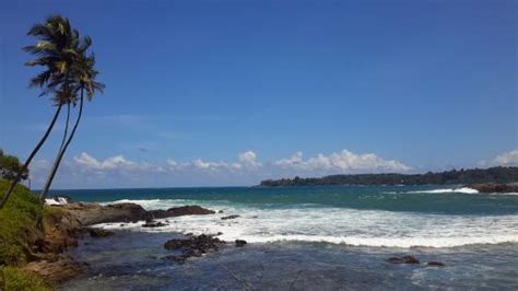 Beach, Gandara ,Matara - Picture of Matara Beach, Matara - TripAdvisor