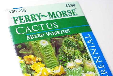 It's Not Work, It's Gardening!: Let the seed planting begin - with cactus!